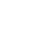 Icon Airline