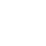 Icon Flight School