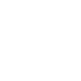 Icon Pilot